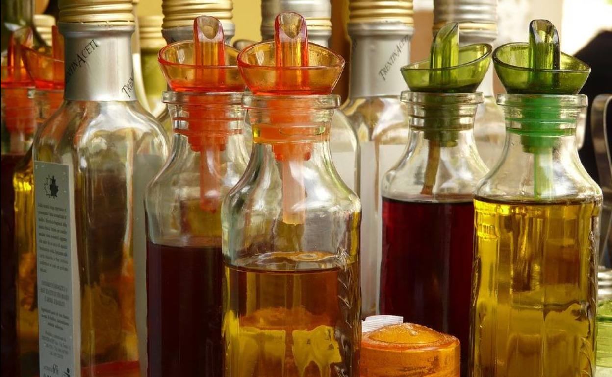 La madre del vinagre qué es y cuáles son sus beneficios El Norte de La madre del vinagre qué es y cuáles son sus beneficios El Norte de
